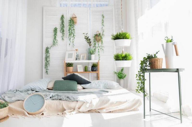 15 plantas para quarto que podem melhorar seu sono!