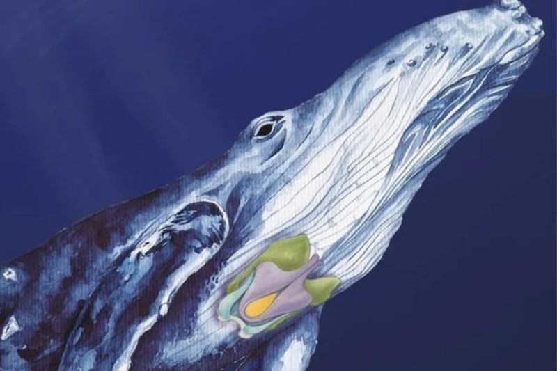 Caja de voz de ballena