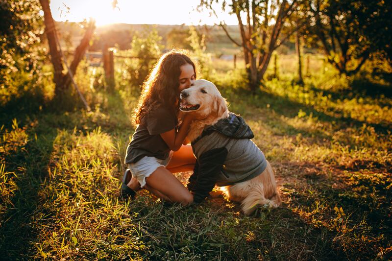 Menina abraçada com labrador